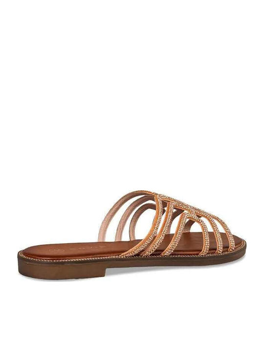 Envie Shoes