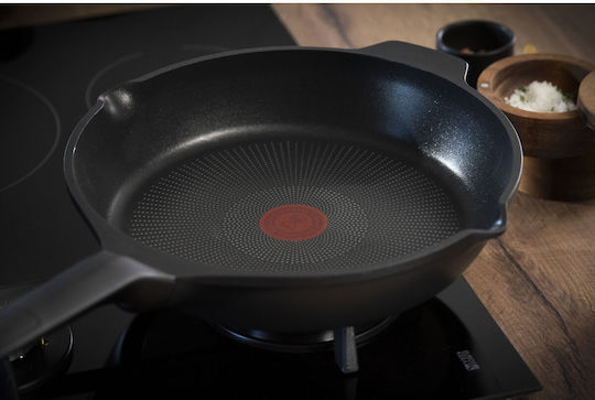 Tefal Robusto Pan made of Cast Aluminum with Non-Stick Coating 24cm