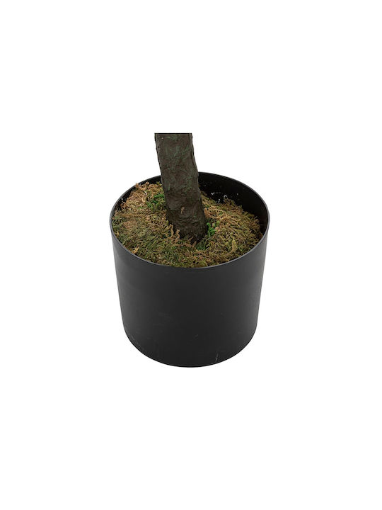 Дърво На Открито Fiddleleaf Tree Ficus Lyrata 180см Atmosphera