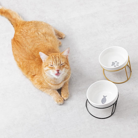 Navaris Ceramic Bowl Food & Water for Dog & Cat with Base 600ml 11cm in Black Color