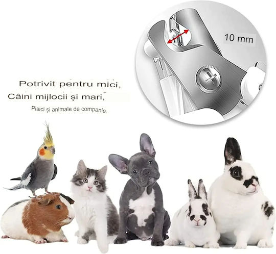 Onepet Pet Care Set Size Pieptene Mare pentru câini cu părul lung pentru Îngrijirea Blănii Fuchsia