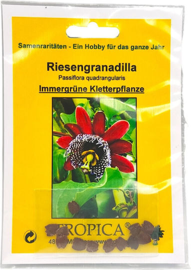 Rote Passionsblume Passiflora 10+ Samen