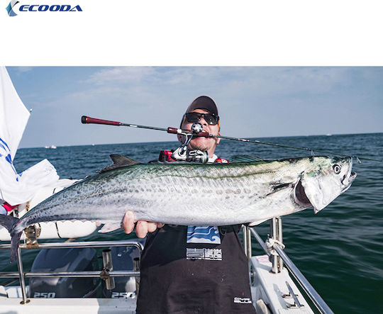 Ecooda Hadera 6000HG 6000 Μηχανισμός Ψαρέματος για Shore Jigging / Spinning / Casting