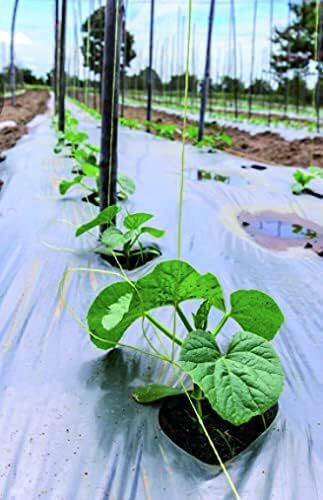 Nylon Film Ground Cover Fabric 1.2x10m White