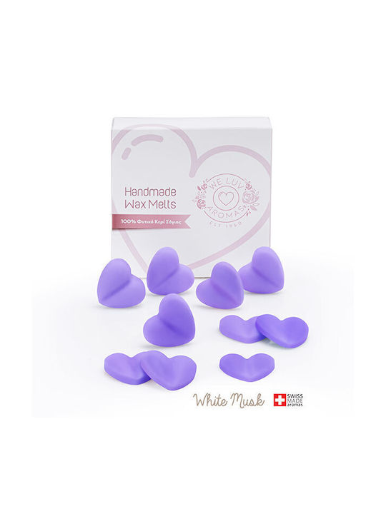 We Luv Aromas Set Fragrance Wax Melts 701-0001 10pcs