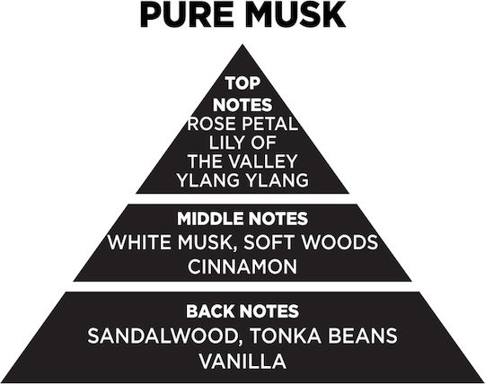 Themagio Αρωματικά Sticks με Άρωμα White Musk 100ml