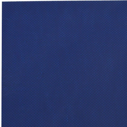 vidaXL Waterproof Tarpaulin 650gr/m² 6x3m. Heavy Duty Blue