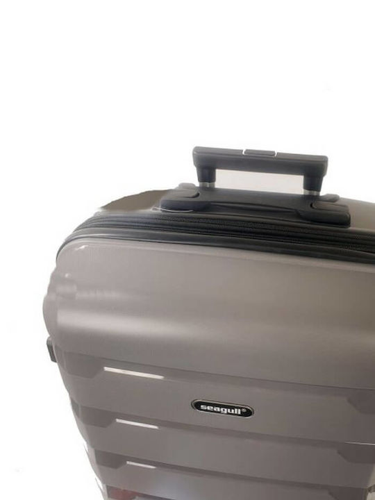Diplomat Medium The Seagull Collection Medium Travel Suitcase Hard Gray with 4 Wheels Height 66cm