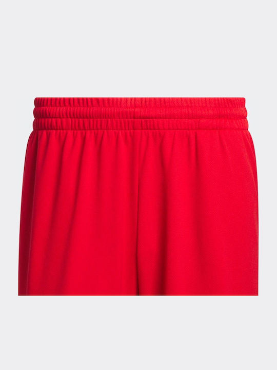 Badge of Sport Herren Shorts Rote