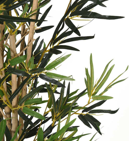 Bamboo in a Pot vidaXL Bamboo in a Pot vidaXL