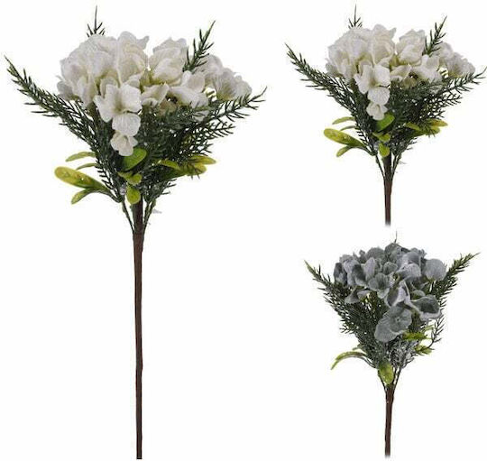 White Hydrangea Koopman