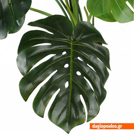 Potted Monstera Newplan