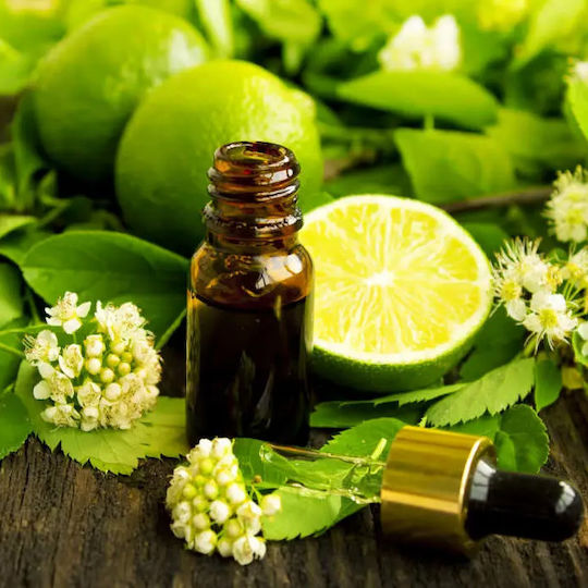 Limettensamen Pflanzenöl 5 ml