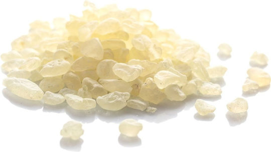 Mastică Chios 5 Gr