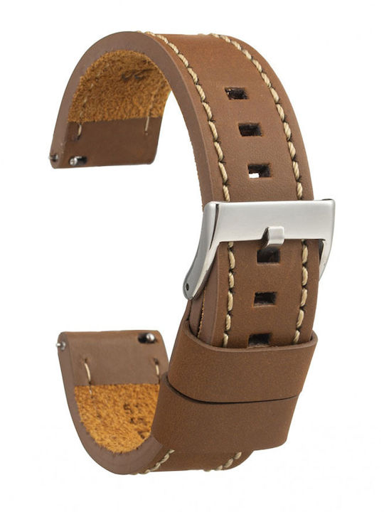 Diloy Straps 384