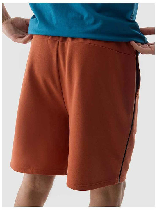 Men's Shorts Brown