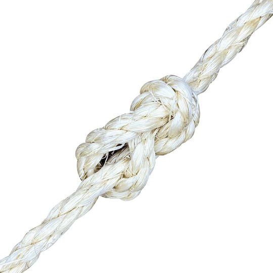 vidaXL Σχοινί Στριφτό 6mm 50m Σιζάλ 1kg