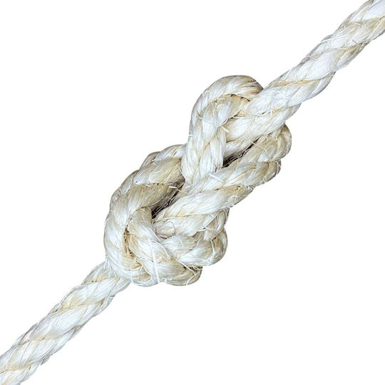 vidaXL Σχοινί Στριφτό 10mm 25m Σιζάλ 0.055kg