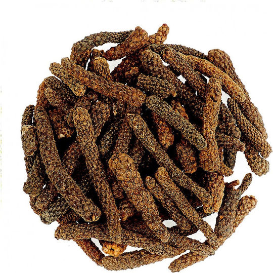 Makropipe Indonesien Jawa 5 Gr