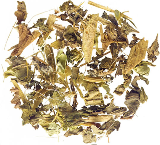 Milk Thistle Plant Commeno Cretan 30 Gr