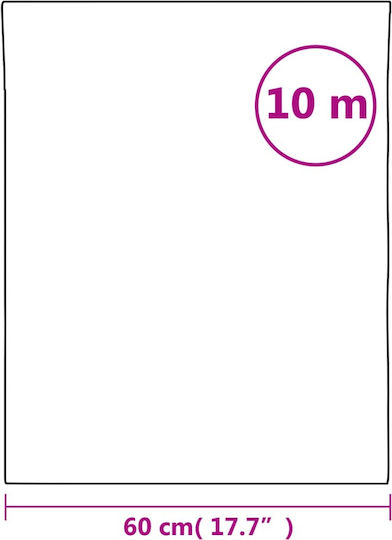vidaXL Sticker Display Sandblasting 60cm x 10m Transparent 155735 1pcs