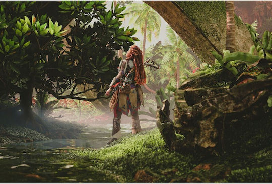 poster Horizon Forbidden West 61x90cm Poster1043