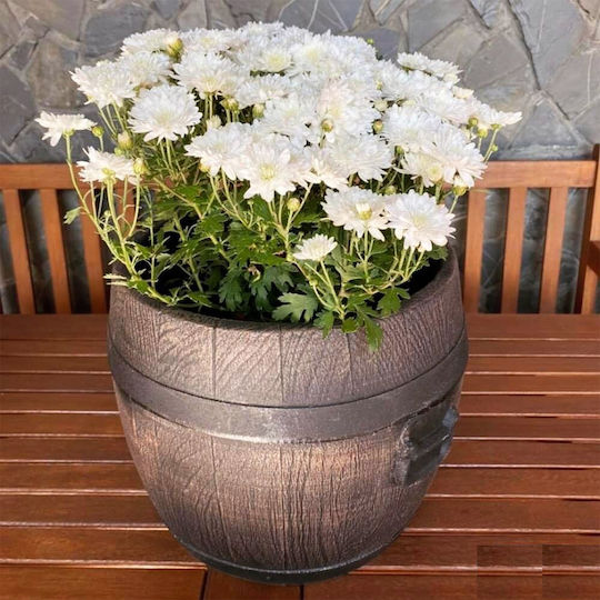 Viosarp Planter Plastic Gray 45x45cm.