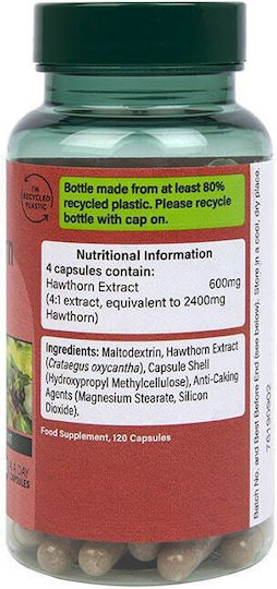 Holland & Barrett Κράταιγος 600mg 120 κάψουλες