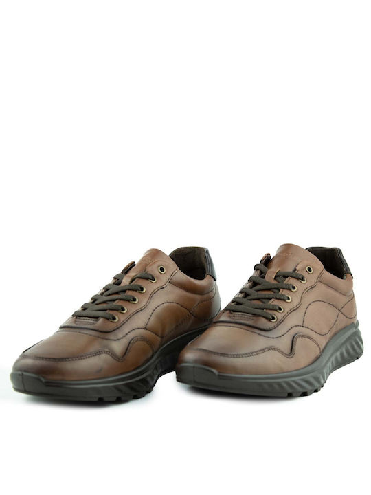 Boxer Sneakers Brown