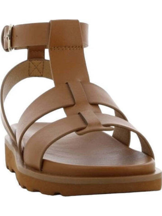 Women's Flat Sandals Anatomic with Strap in Tabac Brown Color