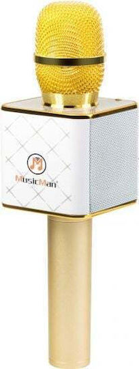 Technaxx Karaoke-Mikrofon Kabellos BT-X31 4685 Gold