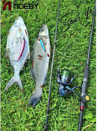 Noeby Legend Μηχανισμός Ψαρέματος για Spinning / Eging / Shore Jigging / Casting / Surf Casting / Καθετή / Συρτή / Inchiku