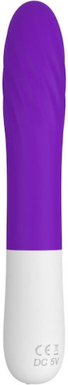 B-Series Joy Vibrator G-Spot 20cm Purple