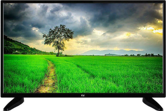 F&U Televizor 24" HD Ready LED FL24116 (2022)