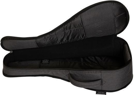 Ritter Antrhracite DAVOS Case Mandolin Padded Gray