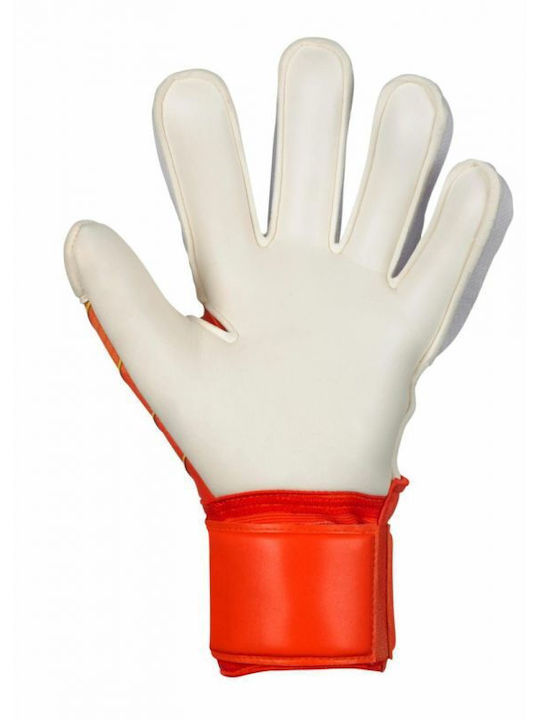 Select Sport 34 Protection Γάντια Τερματοφύλακα Ενηλίκων Λευκά