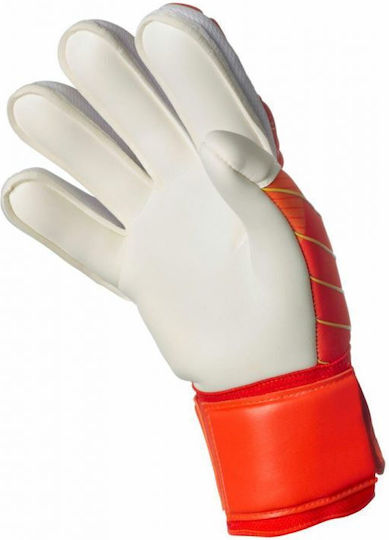 Select Sport 34 Protection Голмански ръкавици за Възрастни Бели
