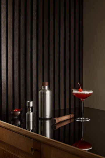 Shaker Cocktail Liquid Lounge