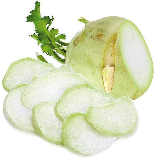 Tescoma Handbuch Reibe aus Edelstahl