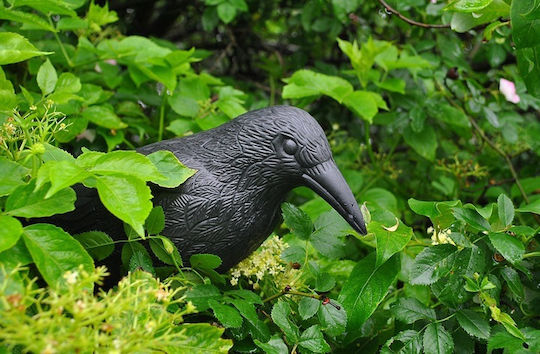 Abschreckungsattrappe Vögel