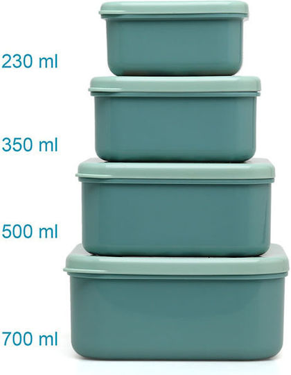 Little Bear Mint Food Containers Set of 4 Kiokids 4187