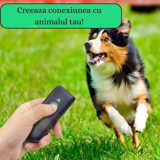 Ultraschallgerät Ausbildung Hund