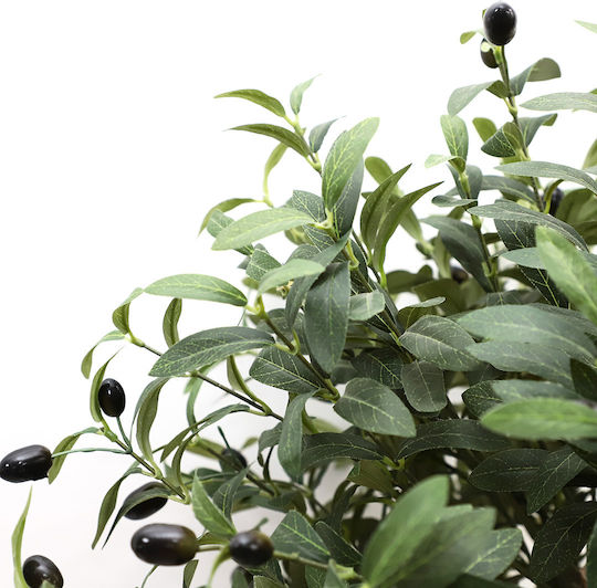 Olive Outdoor Tree Newplan