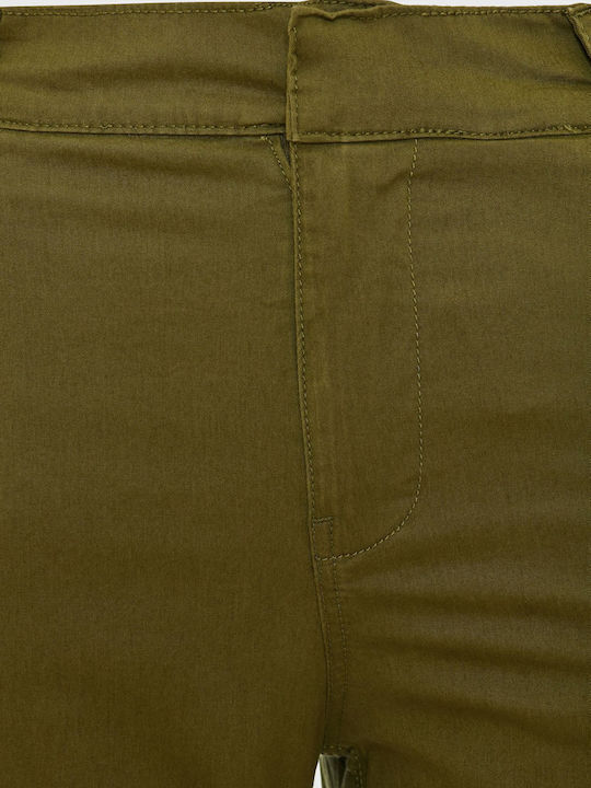 FBL009-101-02-OLIVE-BRANCH