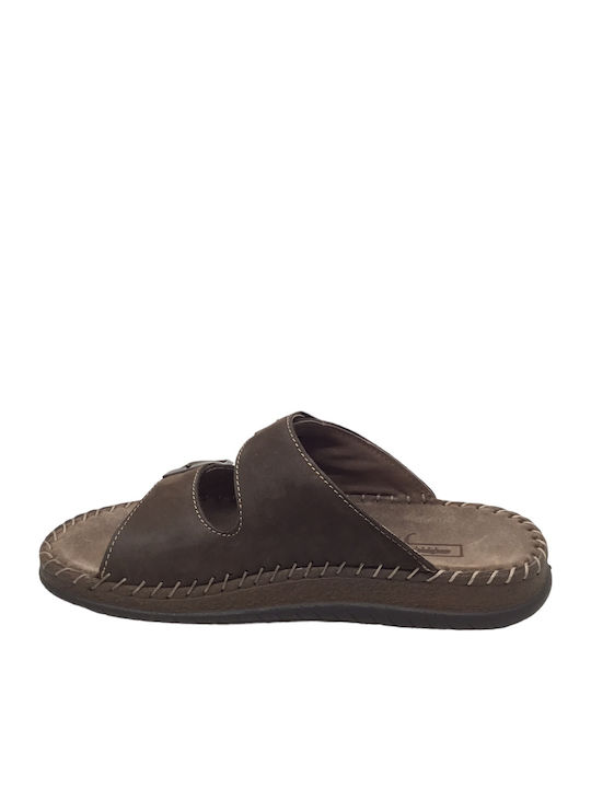 Adam's Shoes