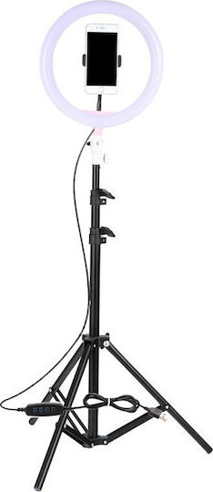 Ringlicht LED USB 26cm 2500 - 4500K mit Bodenstativ und Handyhalter