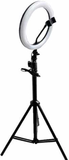 MJ30 RGB Ringlicht 30,48cm mit Bodenstativ und Handyhalter