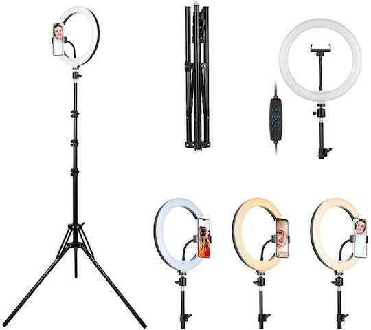 Tracer Ring Light 30cm με Επιτραπέζιο Τρίποδο και Βάση για Κινητό