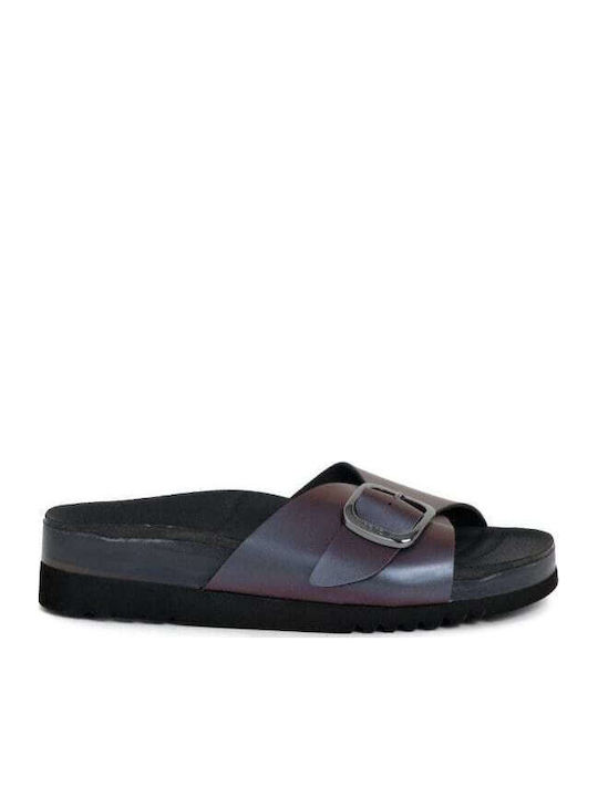 Scholl Scholl