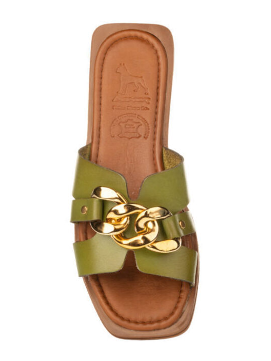 Leather Women's Flat Sandals in Green Color